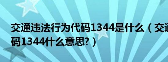 交通违法行为代码1344是什么（交通违法代码1344什么意思?）