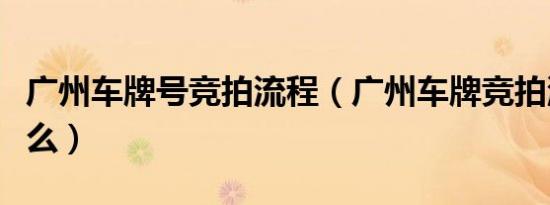 广州车牌号竞拍流程（广州车牌竞拍流程是什么）