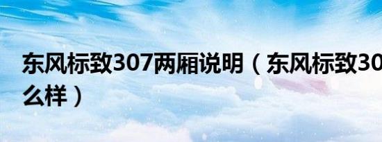 东风标致307两厢说明（东风标致307两厢怎么样）