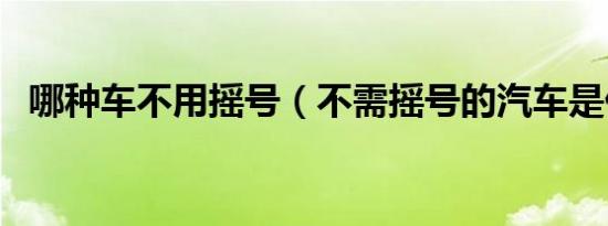 哪种车不用摇号（不需摇号的汽车是什么）