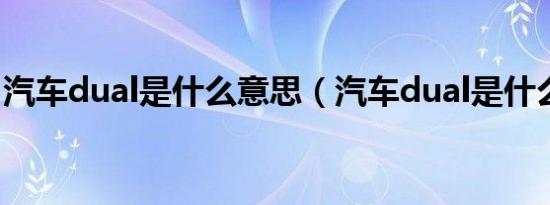 汽车dual是什么意思（汽车dual是什么意思）