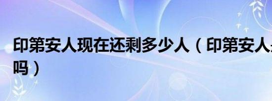 印第安人现在还剩多少人（印第安人是红种人吗）