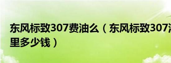 东风标致307费油么（东风标致307油耗一公里多少钱）