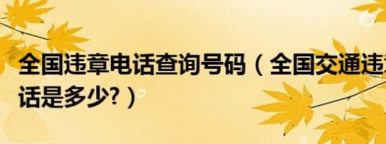 全国违章电话查询号码（全国交通违章查询电话是多少?）