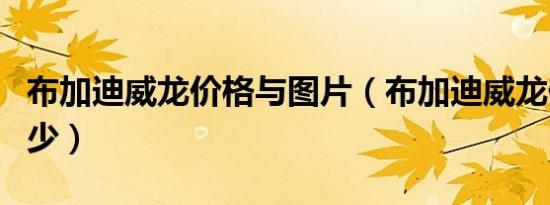 布加迪威龙价格与图片（布加迪威龙价格是多少）