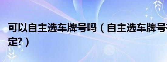 可以自主选车牌号吗（自主选车牌号有什么规定?）