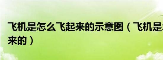 飞机是怎么飞起来的示意图（飞机是怎么飞起来的）
