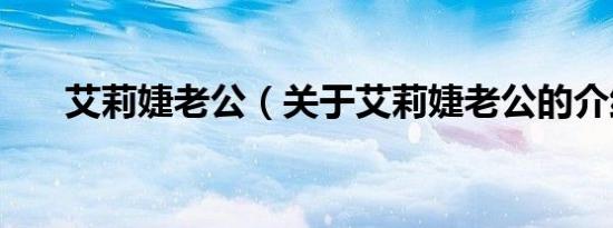 艾莉婕老公（关于艾莉婕老公的介绍）