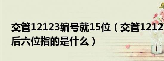 交管12123编号就15位（交管12123发动机后六位指的是什么）