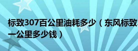 标致307百公里油耗多少（东风标致307油耗一公里多少钱）