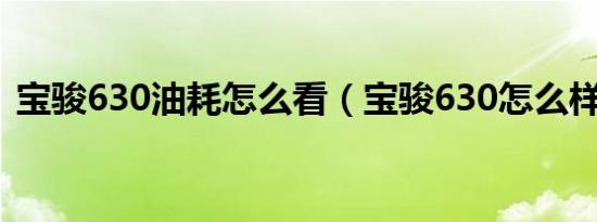 宝骏630油耗怎么看（宝骏630怎么样油耗）