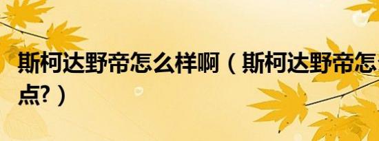 斯柯达野帝怎么样啊（斯柯达野帝怎么样优缺点?）