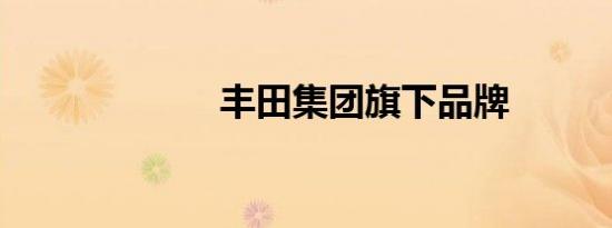 丰田集团旗下品牌