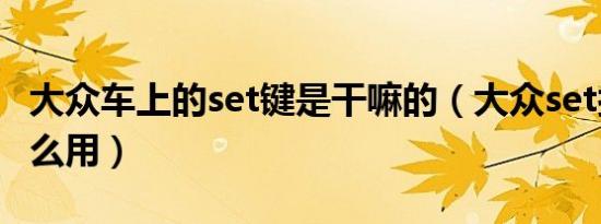 大众车上的set键是干嘛的（大众set按钮有什么用）
