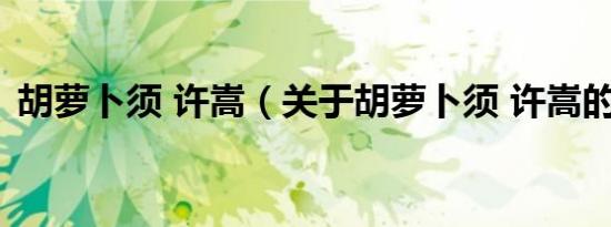 胡萝卜须 许嵩（关于胡萝卜须 许嵩的介绍）