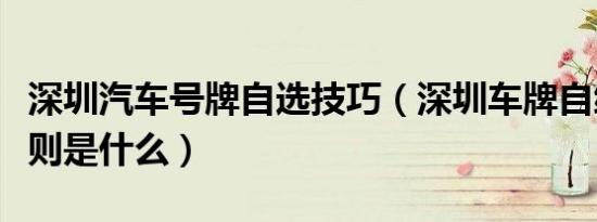 深圳汽车号牌自选技巧（深圳车牌自编自选规则是什么）