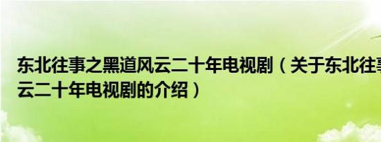 东北往事之黑道风云二十年电视剧（关于东北往事之黑道风云二十年电视剧的介绍）