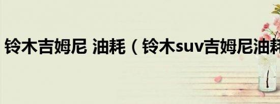 铃木吉姆尼 油耗（铃木suv吉姆尼油耗多少）