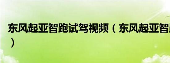东风起亚智跑试驾视频（东风起亚智跑怎么样）