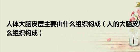 人体大脑皮层主要由什么组织构成（人的大脑皮层主要由什么组织构成）