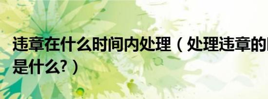 违章在什么时间内处理（处理违章的时间规定是什么?）