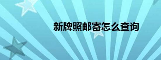 新牌照邮寄怎么查询