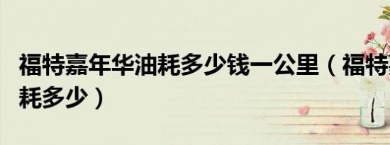 福特嘉年华油耗多少钱一公里（福特嘉年华油耗多少）