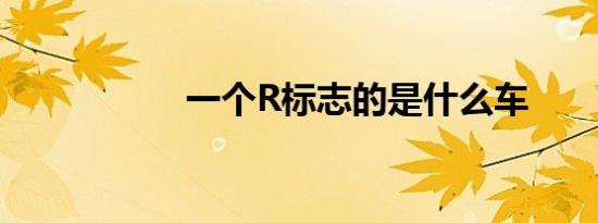 一个R标志的是什么车