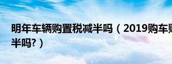 明年车辆购置税减半吗（2019购车购置税减半吗?）