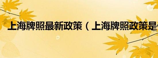 上海牌照最新政策（上海牌照政策是什么）