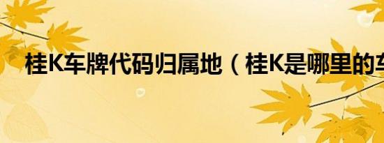 桂K车牌代码归属地（桂K是哪里的车牌）