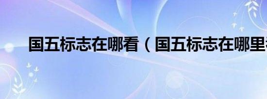 国五标志在哪看（国五标志在哪里看）