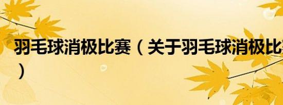羽毛球消极比赛（关于羽毛球消极比赛的介绍）