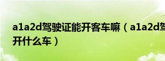 a1a2d驾驶证能开客车嘛（a1a2d驾驶证能开什么车）