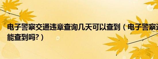 电子警察交通违章查询几天可以查到（电子警察违章第二天能查到吗?）
