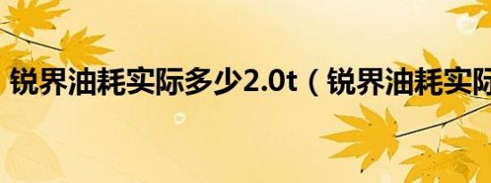 锐界油耗实际多少2.0t（锐界油耗实际多少）