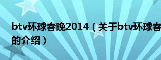 btv环球春晚2014（关于btv环球春晚2014的介绍）