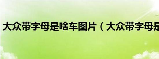 大众带字母是啥车图片（大众带字母是啥车）