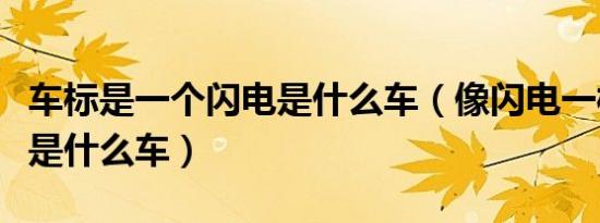 车标是一个闪电是什么车（像闪电一样的车标是什么车）