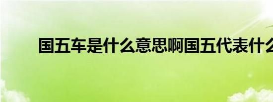 国五车是什么意思啊国五代表什么?