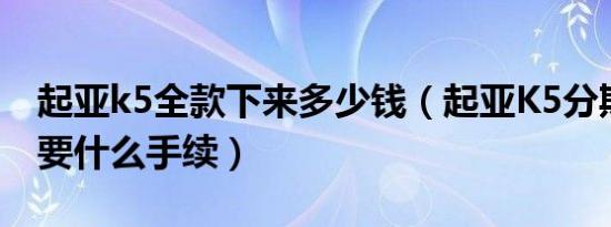 起亚k5全款下来多少钱（起亚K5分期付款需要什么手续）