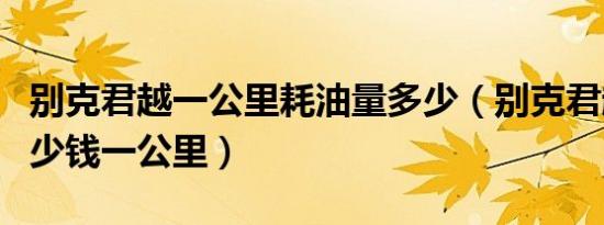 别克君越一公里耗油量多少（别克君越油耗多少钱一公里）