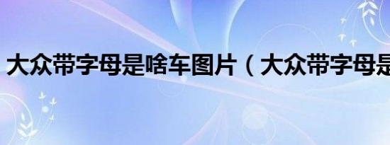 大众带字母是啥车图片（大众带字母是啥车）