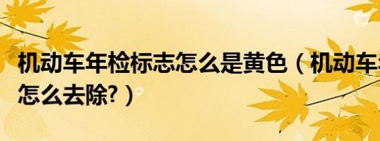机动车年检标志怎么是黄色（机动车年检标志怎么去除?）