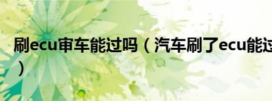 刷ecu审车能过吗（汽车刷了ecu能过审验嘛?）