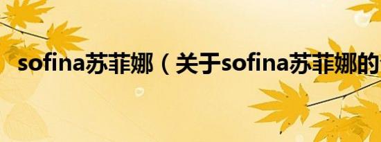sofina苏菲娜（关于sofina苏菲娜的介绍）