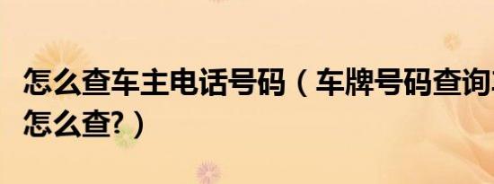 怎么查车主电话号码（车牌号码查询车主电话怎么查?）