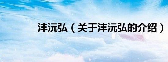 沣沅弘（关于沣沅弘的介绍）