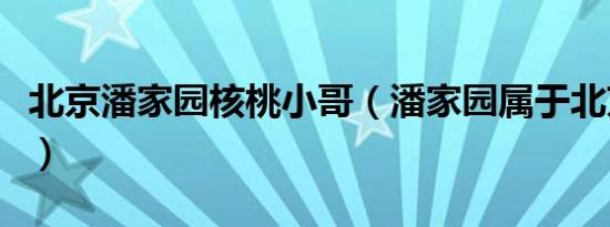 北京潘家园核桃小哥（潘家园属于北京哪个区）