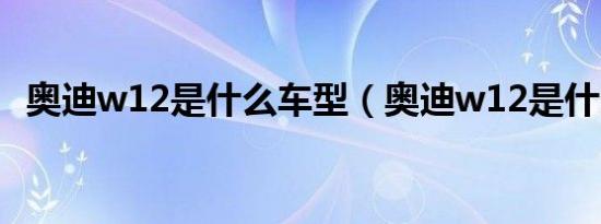 奥迪w12是什么车型（奥迪w12是什么车）